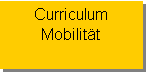 Textfeld: Curriculum 
Mobilität