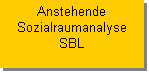 Textfeld: Anstehende
Sozialraumanalyse
SBL
